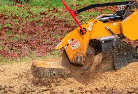 Lawn Watering Services in Plattsburgh, NY